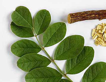 از شیرین بیان چه می دانید ؟