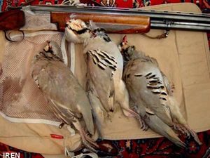 دستگیری 101نفر شکارچی غیر مجاز در فارس