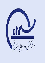 حضور اعضای خوشه کفش و دمپایی قم در نمایشگاه بین المللی کنیا