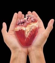 اعضای بدن بیمار مرگ مغزی در یاسوج اهدا شد