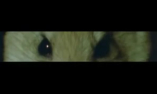 فیلم / جدال در شب