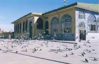 بقعه خواهر امام کجاست؟