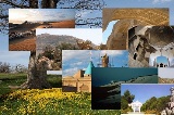 تنظیم سند توسعه اشتغال و سرمایه‌گذاری درزنجان