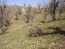آغاز راست آزمایی اطلاعات ثبت شده در سامانه شناسایی بهره برداران بخش کشاورزی