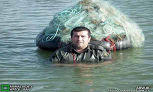 دستگیری یك صیاد متخلف در تالاب 'سلدوز' نقده