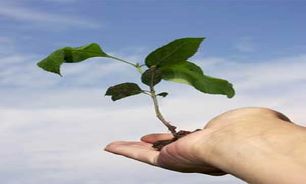 ضرورت همراهی نمایندگان مجلس برای حفاظت از منابع طبیعی