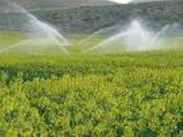 توسعه كشاورزی اولویت نخست اقتصادی دراستان چهارمحال وبختیاری