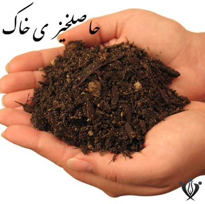 تخريب حاصلخيزي خاك با بهاي اندك اجاره
