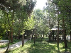 دست سودجویان را از تصرف اراضی ملی قطع می‌کنیم