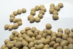 کاهش عوارض یائسگی با مصرف استروژن گیاهی
