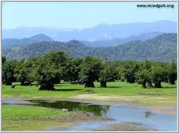 باغ عباس آباد  کجاست؟