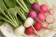 تهیه، نگهداری و آماده‌ سازی تربچه