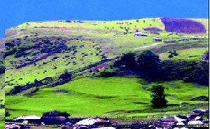 روستاهای دالاهو کجاست؟