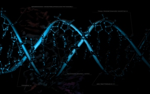 زنان به علت داشتن DNA" میتوکندری" عمر طولانی تری دارند
