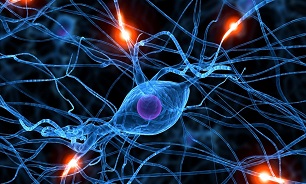 آخرین مهلت ارسال مقالات به کنگره علوم اعصاب پایه و بالینی