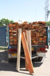 کشف 109 اصله الوار جنگلی قاچاق در استان اردبیل