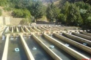 مطالعه ساخت دومجتمع پرورش ماهی استان چهارمحال وبختیاری