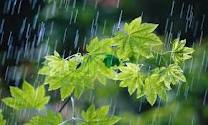 ادامه رگبار و رعد و برق در گیلان