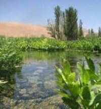 كم آبی دراستان مایه تاسف است
