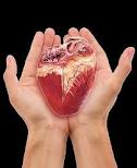پیوند عضو و نجات جان یازده بیمار در مشهد