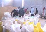 خريد و توزيع 7000 تن نهاده دامي در استان ايلام
