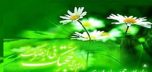 ششمین نشست از پنجمین دوره طرح برگزیده کشوری 313 یار موعود