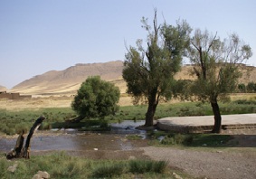 سراب فش کجاست.؟