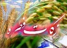 ميزان زکات فطره امسال 2500تومان است