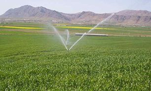 بهره برداری19 طرح آبیاری تحت فشار در مهاباد