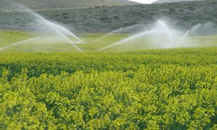 استاندار آذربایجان غربی از شبکه آبیاری وزهکشی دشت شهید قنبری ماکو بازدید کرد