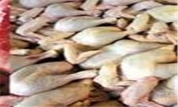 شناسایی 4 کامیون حامل مرغ قاچاق در مازندران