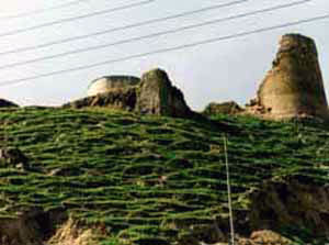 قلعه تل در حال نابودی تدریجی