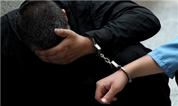 62 فقره سرقت خودرو در سنندج کشف شد