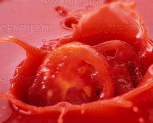 تولید صد هزار تن رب گوجه فرنگی درمرودشت