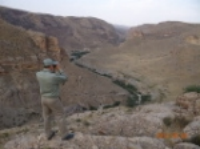 آغاز سرشماري تابستانه وحش در استان كردستان
