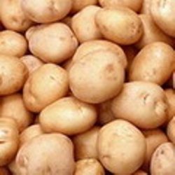 پرداخت 54 درصد مطالبات سیب زمینی کاران گلستانی
