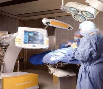 فقط مغز انسان در پیری کوچک می شود