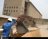 زنجان 568 هزار تن فضای ذخیره‌سازی گندم دارد