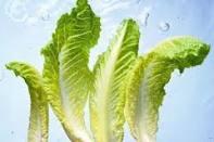 کاهو برای افراد عصبی مفید است