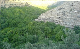 تابستانی به یادماندنی در گلین