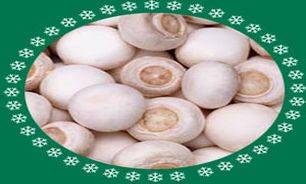 شستشو و آماده‌سازی نگهداری قارچ به مدت چند روز در یخچال