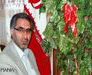 شهرستان چالدران میزبان خیل عظیمی از مسافران تابستانی