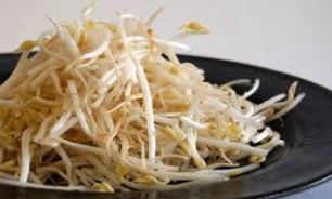برای جلوگیری از روند پیری از جوانه ها استفاده کنید
