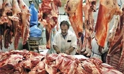 فعالیت 3 هزار مرکز تولید فرآورده‌های دامی در اردبیل