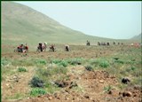 مدیریت صحیح در800 هزارهکتارازاراضی زنجان