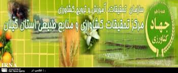 برخورداری کشاورزان از مالکیت مادی و معنوی تولید بذر
