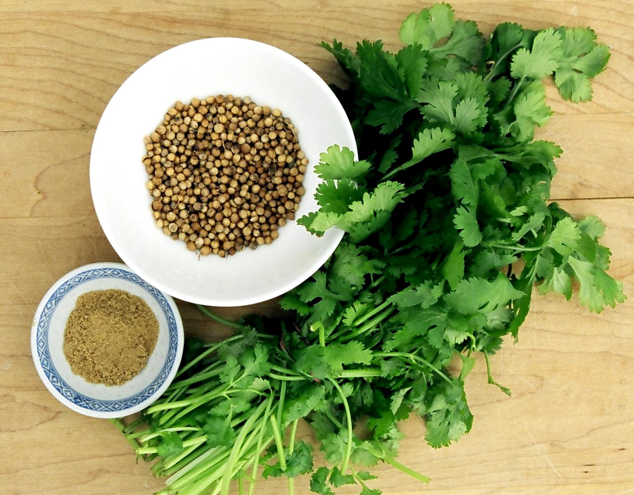 گشنیز ، دوای دندان درد