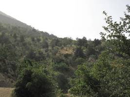 توسعه طرح تنوع زیستی زاگرس مرکزی در استان چهارمحال و بختیاری