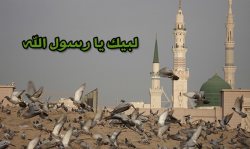 دانشجویان دانشگاه زنجان توهین به ساحت مقدس پیامبر اكرم را محکوم کردند