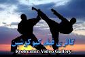گلستان میزبان نخستین دوره مسابقات قهرمان کیوکوشین ماتسوشیما کاراته شمال کشور